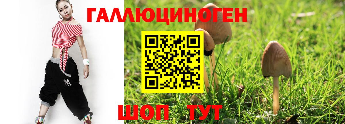 Галлюциногенные грибы GOLDEN TEACHER  Вход с VPN  Псилоцибиновые грибы прущие грибы  Троицк 